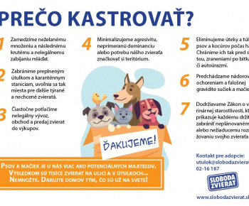Aktuality / Samosprávy a kastračné programy psov a mačiek - foto