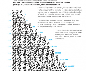 Aktuality / Samosprávy a kastračné programy psov a mačiek - foto